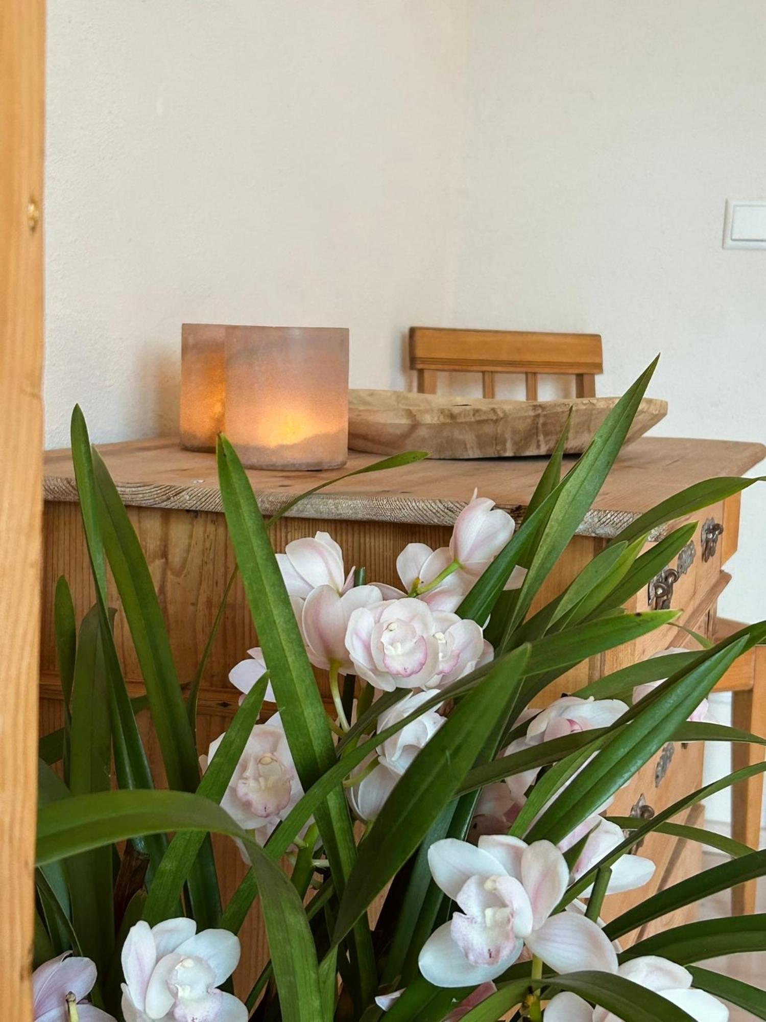 Heimat-Raum Apartment Bayersoien Екстериор снимка